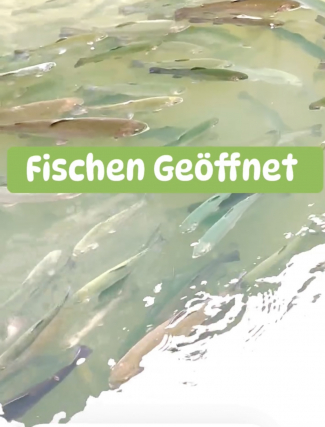 Hecht selbst geangelt in Kräuterkruste mit Beilagen - nur am 20.5.22 - bitte vorbestellen.