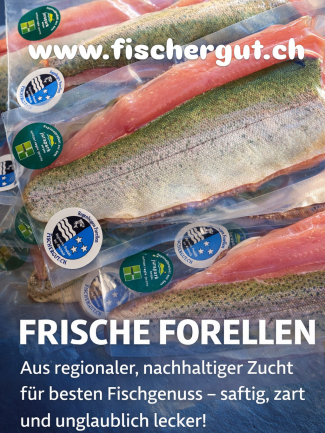 Hecht selbst geangelt in Kräuterkruste mit Beilagen - nur am 20.5.22 - bitte vorbestellen.