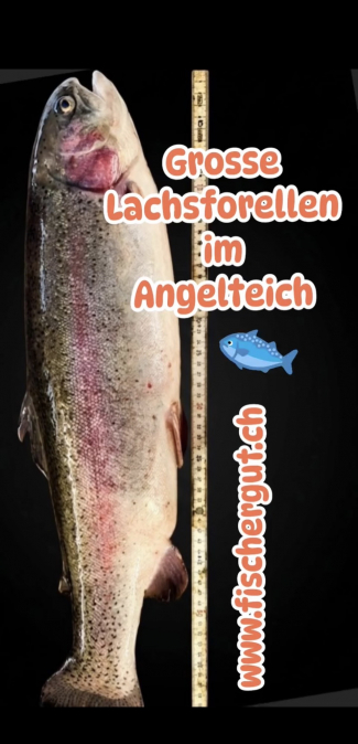 Hecht selbst geangelt in Kräuterkruste mit Beilagen - nur am 20.5.22 - bitte vorbestellen.
