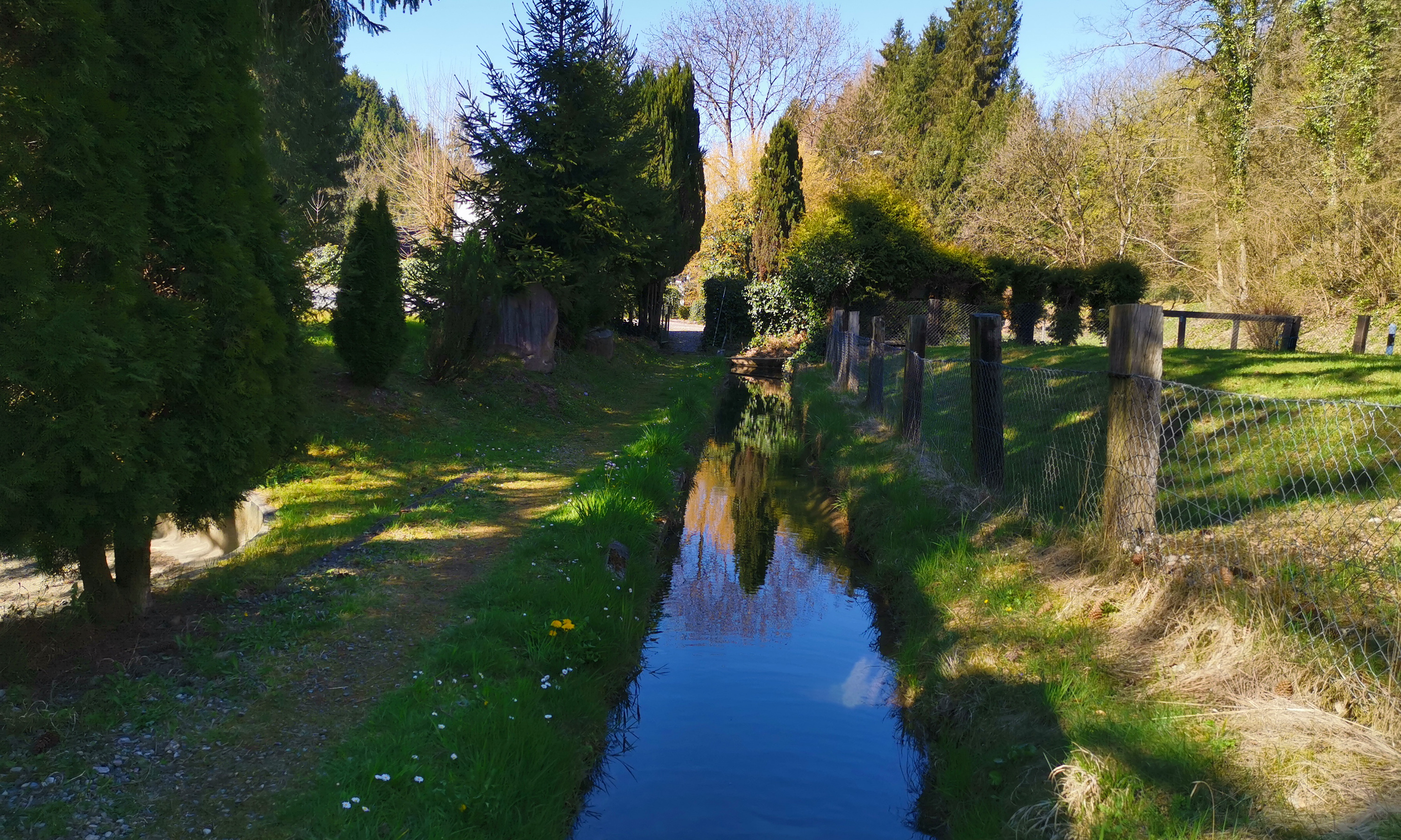 Bachlauf beim Fischergut Rheinsulz