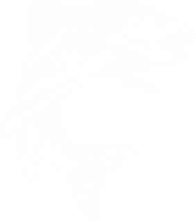 LogoBildForelle_Fischergut_weiss.png