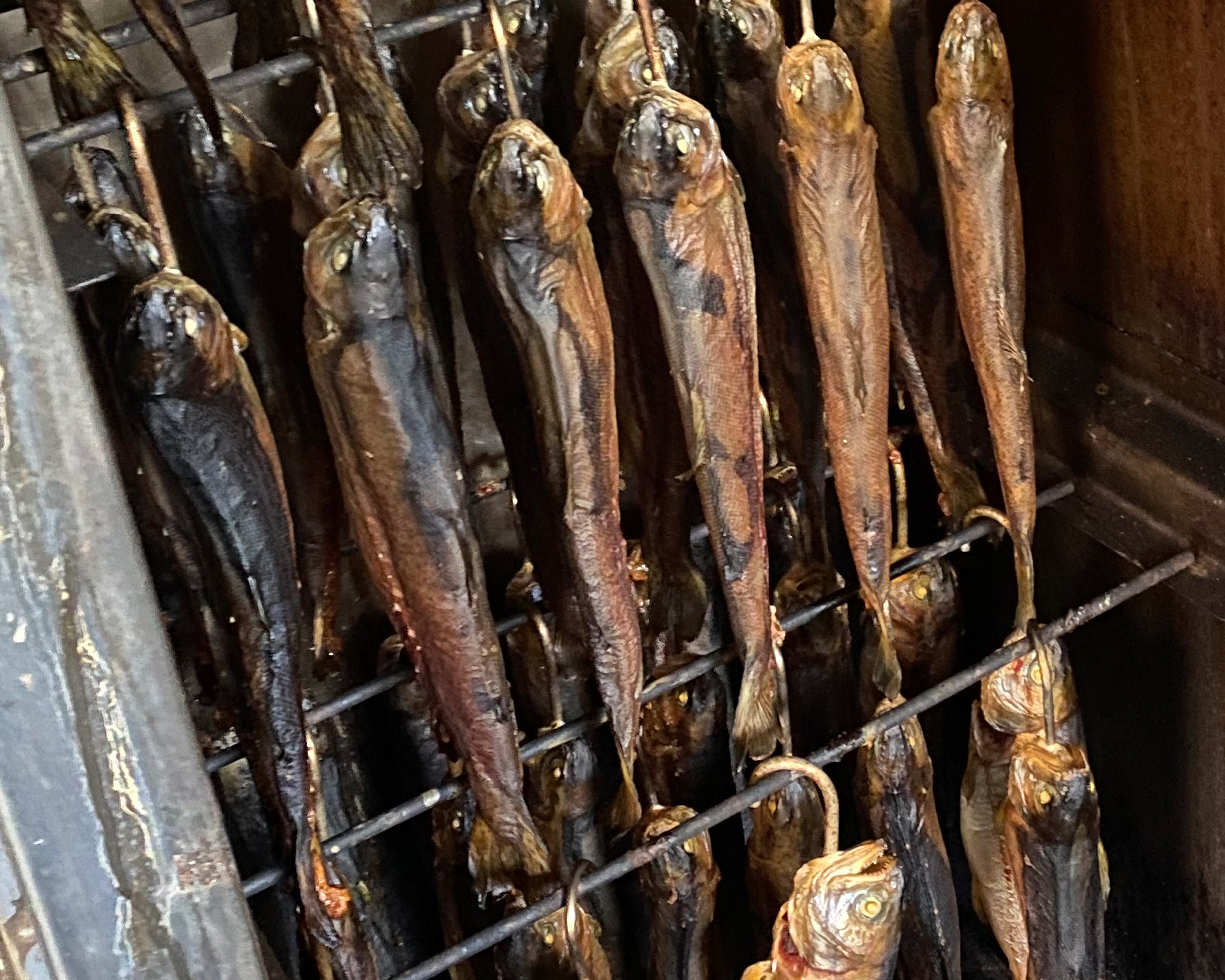 Räucherofen für Räucherfilets